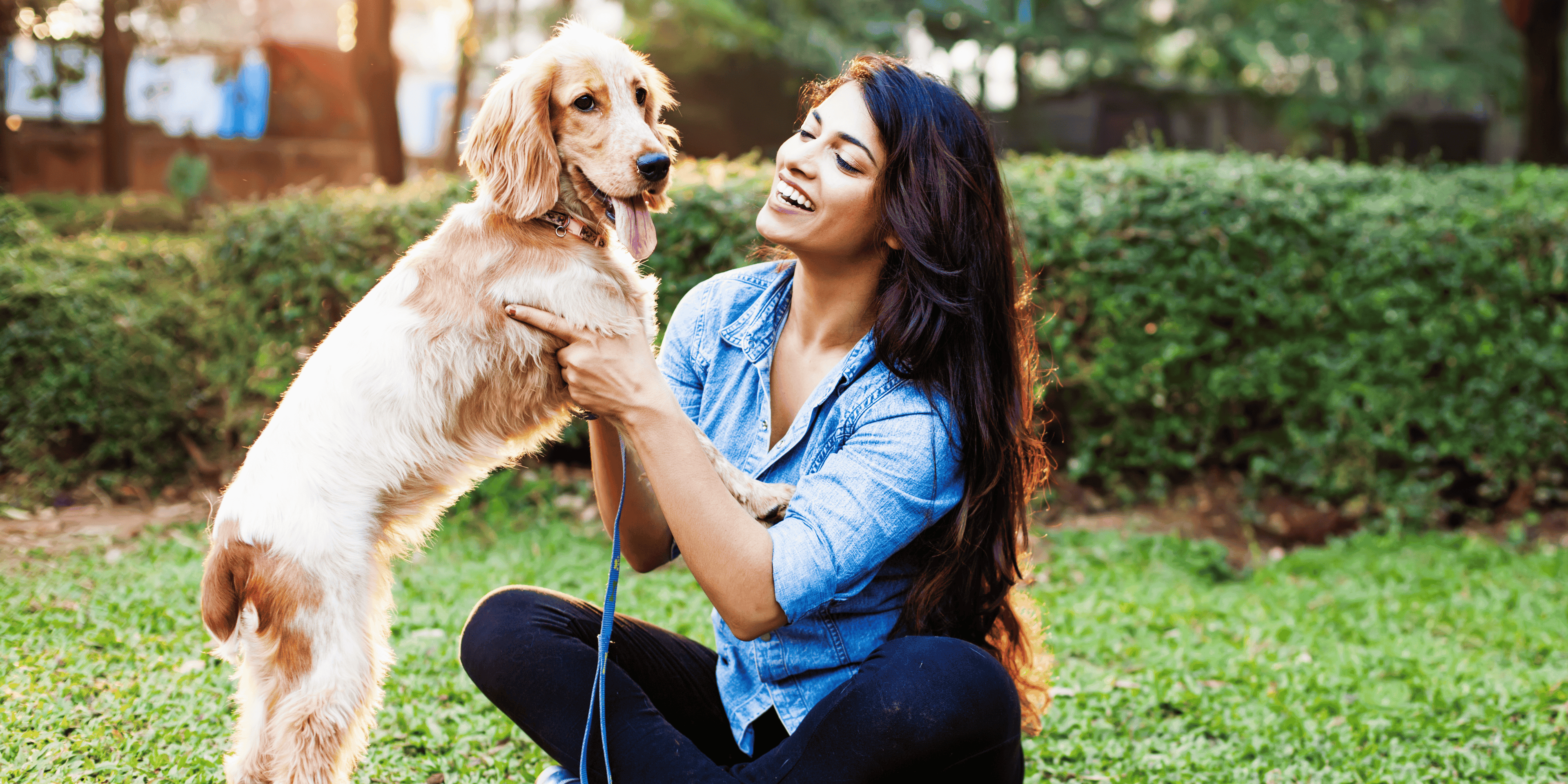 Banner-2 - ANIMAUX